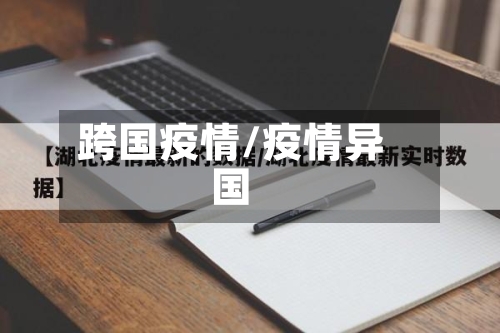跨国疫情/疫情异国-第2张图片