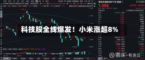 科技股全线爆发！小米涨超8%-第2张图片