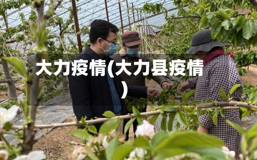 大力疫情(大力县疫情)