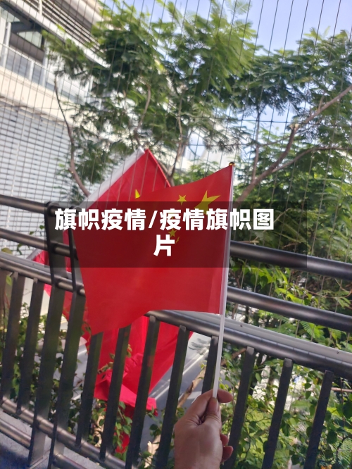 旗帜疫情/疫情旗帜图片