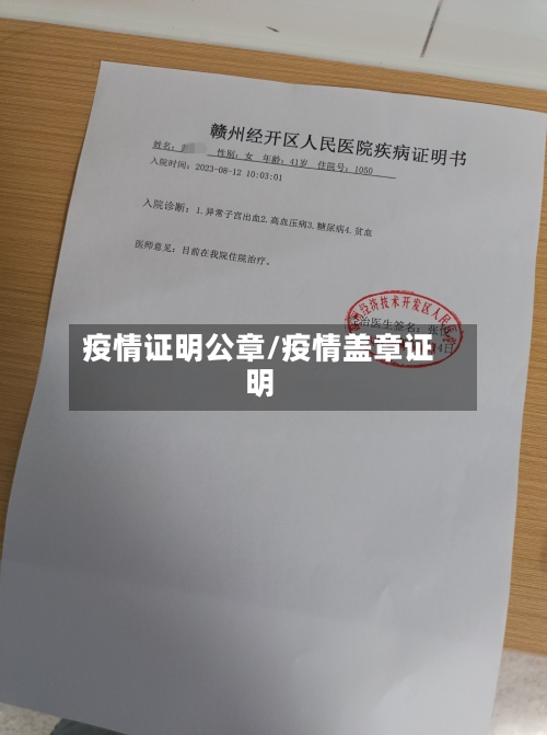 疫情证明公章/疫情盖章证明