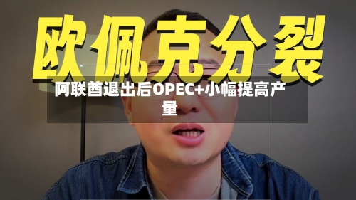 阿联酋退出后OPEC+小幅提高产量