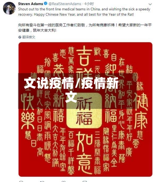 文说疫情/疫情新文
