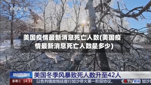美国疫情最新消息死亡人数(美国疫情最新消息死亡人数是多少)