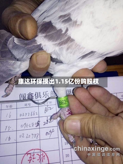 康达环保授出1.15亿份购股权-第2张图片