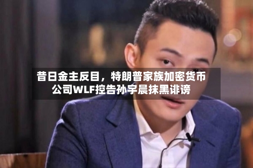 昔日金主反目	，特朗普家族加密货币公司WLF控告孙宇晨抹黑诽谤-第2张图片