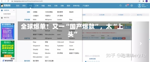 全球爆单！又一“国产爆款”，太“上头”
