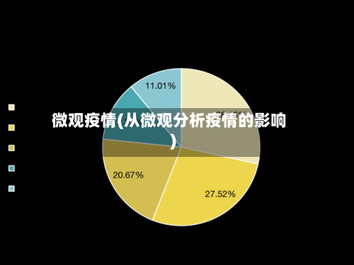 微观疫情(从微观分析疫情的影响)