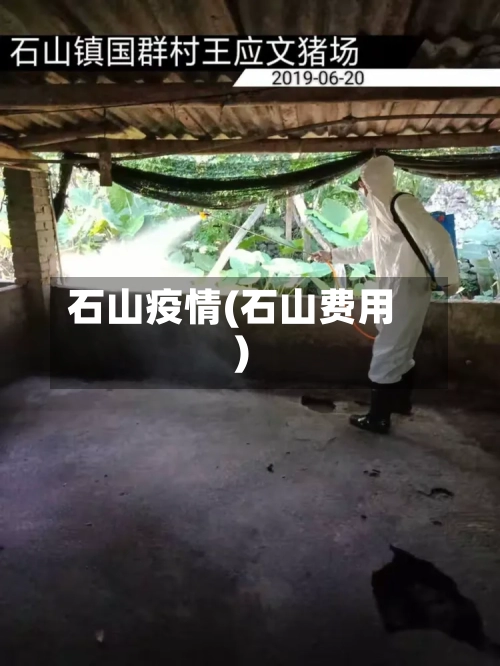 石山疫情(石山费用)