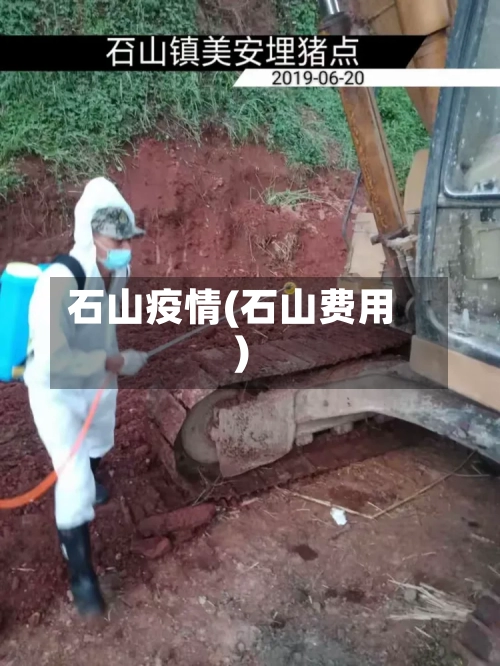 石山疫情(石山费用)-第3张图片