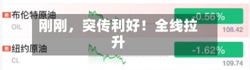 刚刚，突传利好！全线拉升-第2张图片