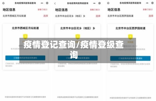 疫情登记查询/疫情登级查询