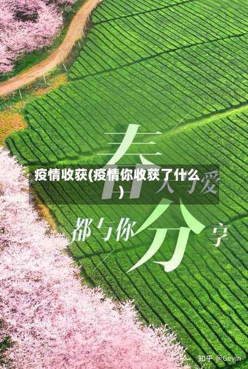疫情收获(疫情你收获了什么)