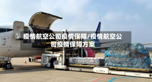 疫情航空公司疫情保障/疫情航空公司疫情保障方案-第2张图片