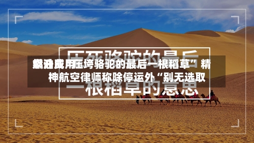 燃油费用飙升成“压垮骆驼的最后一根稻草	” 精神航空律师称除停运外“别无选取”-第2张图片