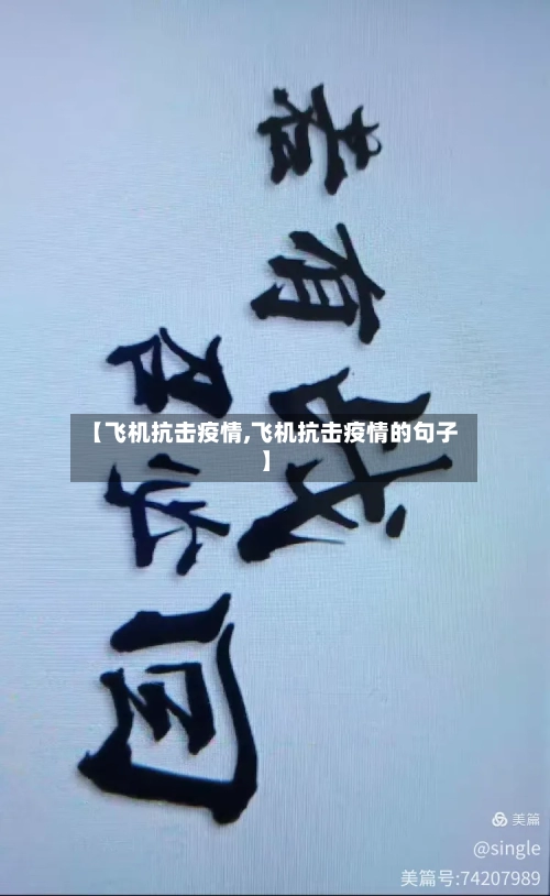 【飞机抗击疫情,飞机抗击疫情的句子】