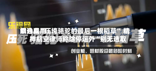 燃油费用飙升成“压垮骆驼的最后一根稻草” 精神航空律师称除停运外“别无选取”-第2张图片