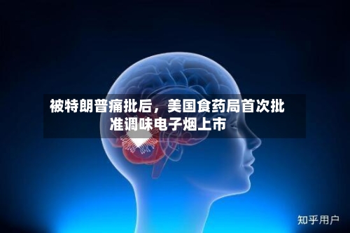 被特朗普痛批后	，美国食药局首次批准调味电子烟上市-第2张图片