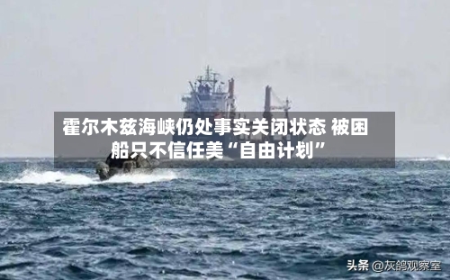 霍尔木兹海峡仍处事实关闭状态 被困船只不信任美“自由计划”-第3张图片