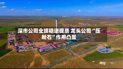 深市公司业绩稳进提质 龙头公司“压舱石”作用凸显