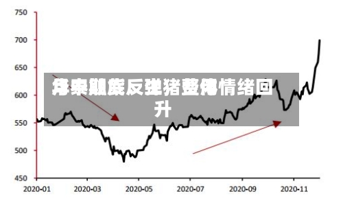 华泰期货：生猪费用月中触底反弹，整体情绪回升-第2张图片