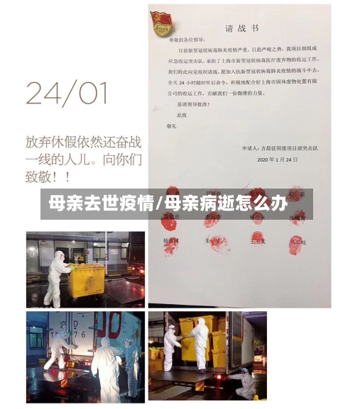 母亲去世疫情/母亲病逝怎么办-第2张图片